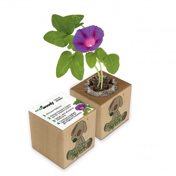 Eco-Woody - Cubo magnetico con semi personalizzato