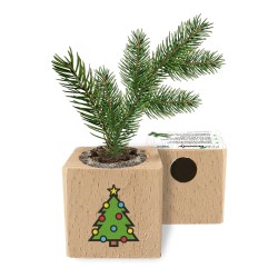 Eco-Woody Natalizio - Cubo di legno 100% ecologico con semi di Abete