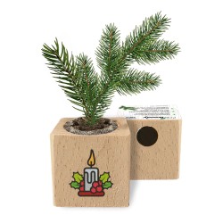 Eco-Woody Natalizio - Cubo di legno 100% ecologico con semi di Abete