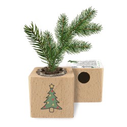 Eco-Woody Natalizio - Cubo di legno 100% ecologico con semi di Abete