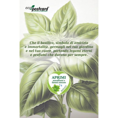 EcoPostcard con frase e dedica con semi di Basilico