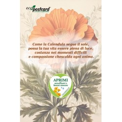 EcoPostcard con frase e dedica con semi di Calendula