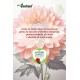 EcoPostcard con frase e dedica con semi di Dalia