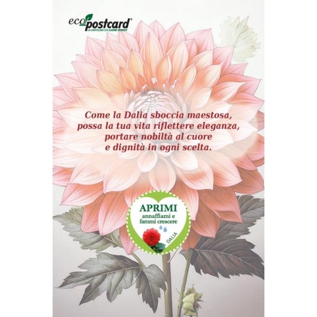 EcoPostcard con frase e dedica con semi di Dalia