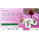 EcoPostcard con frase e dedica con semi di Echinacea