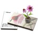 EcoPostcard con frase e dedica con semi di Echinacea