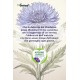 EcoPostcard con frase e dedica con semi di Fiordaliso