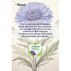 EcoPostcard con frase e dedica con semi di Fiordaliso