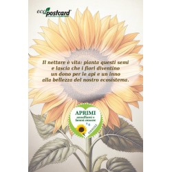 EcoPostcard con frase e dedica con semi di Girasole