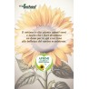 EcoPostcard con frase e dedica con semi di Girasole