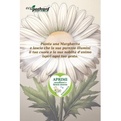 EcoPostcard con frase e dedica con semi di Margherita