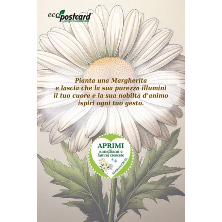 EcoPostcard con frase e dedica con semi di Margherita