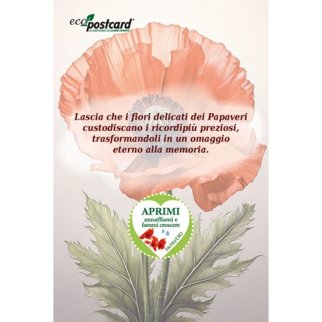 EcoPostcard con frase e dedica con semi di Papavero