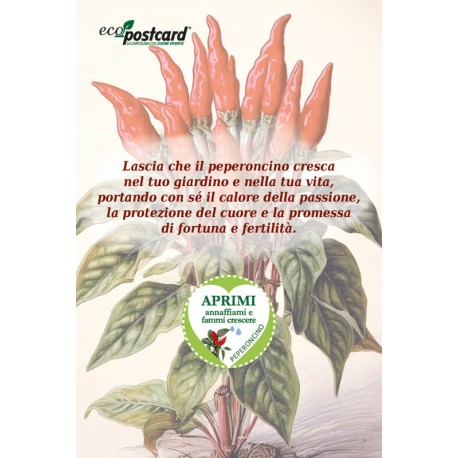 EcoPostcard con frase e dedica con semi di Peperoncino