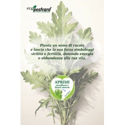 EcoPostcard con frase e dedica con semi di Rucola