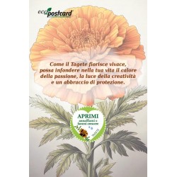 EcoPostcard con frase e dedica con semi di Tagete