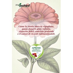 EcoPostcard con frase e dedica con semi di Zinnia