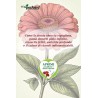 EcoPostcard con frase e dedica con semi di Zinnia
