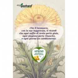 EcoPostcard con frase e dedica con semi di Tarassaco