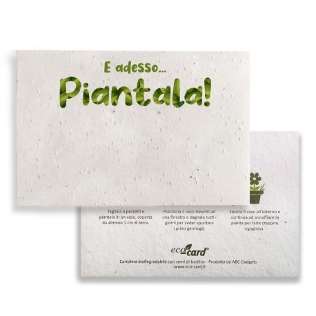E ADESSO PIANTALA! cartolina biodegradabile piantabile firi misti