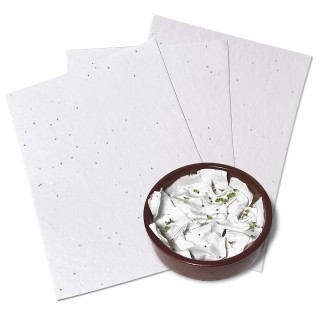 Eco-Card fogli carta piantabile neutra - semi di basilico