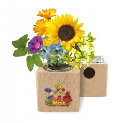 Eco-Woody Ape Maia vola tra i fiori gioia e colori