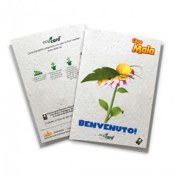 Eco-Card Biglietto piantabile animato Ape Maia Benvenuto Willy
