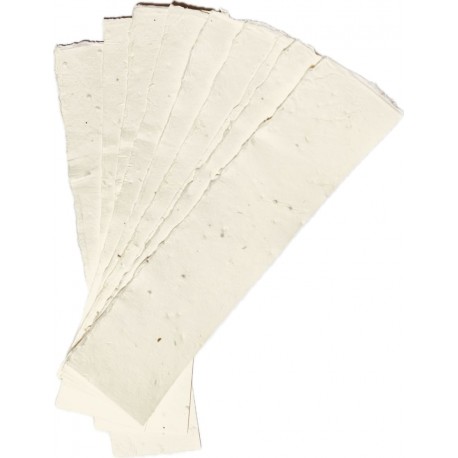 Eco-Card: ritagli carta piantabile neutra 26x6 cm per laboratori didattici con semi melliferi