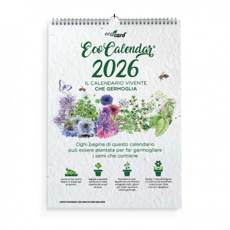 Eco-Calendar 2026 calendario piantabile da muro formato A4 in carta semi Eco-Card