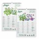 Eco-Calendar 2026 calendario piantabile da muro formato A4 in carta semi Eco-Card