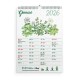 Eco-Calendar 2026 calendario piantabile da muro formato A4 in carta semi Eco-Card