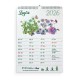 Eco-Calendar 2026 calendario piantabile da muro formato A4 in carta semi Eco-Card