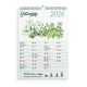 Eco-Calendar 2026 calendario piantabile da muro formato A4 in carta semi Eco-Card