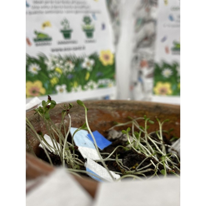 ECORIANDOLI COLORATI, coriandoli  ecologici in carta piantabile con semi di fiori misti