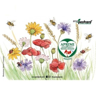 Eco-Postcard Illustrazione ad Acquerello - Papavero