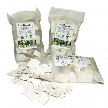 ECORIANDOLI coriandoli  ecologici in carta piantabile con semi di fiori misti