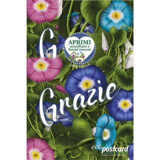 Eco-Postcard - Biglietto Cartolina di Ringraziamento Ecologica con pianta di Morning Glory