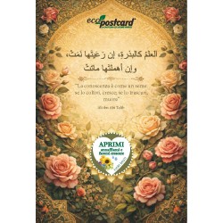EcoPostcard Islamica Ali ibn Abi Talib – Cartolina vivente con semi di fiori misti