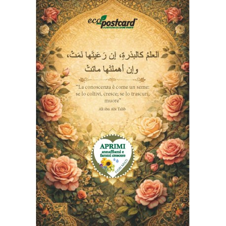 ecopostcard-islamica-ali-ibn-abi-talib-semi-fiori-misti