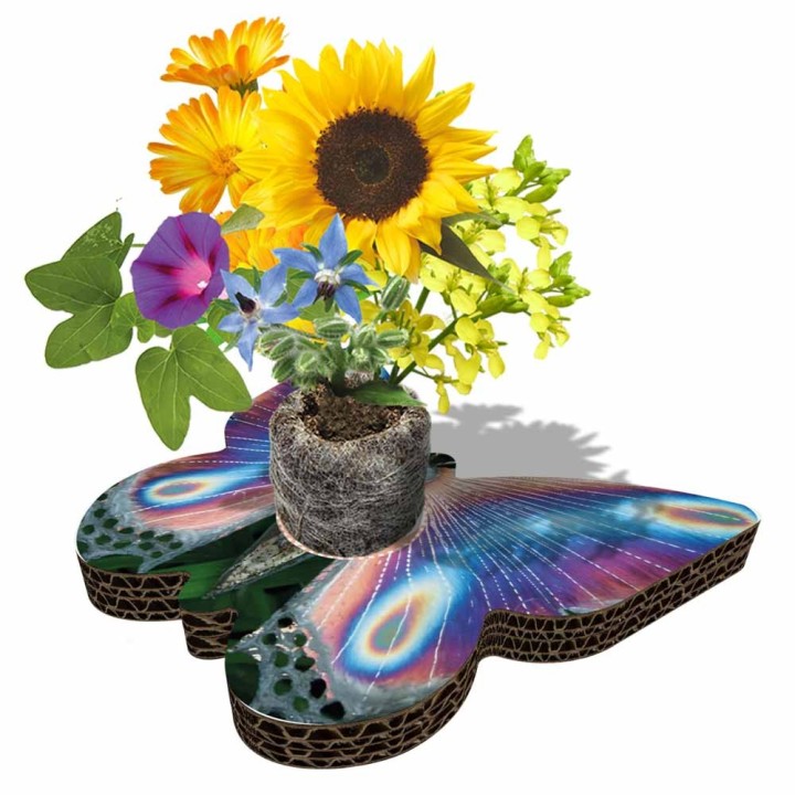 Eco-Decors Farfalla Illustrata – Decorazione piantabile con semi di fiori per api e farfalle