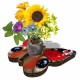 Eco-Decors Farfalla Illustrata – Decorazione piantabile con semi di fiori per api e farfalle