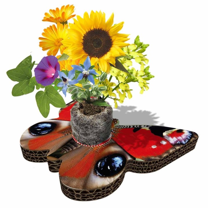 Eco-Decors Farfalla Illustrata – Decorazione piantabile con semi di fiori per api e farfalle
