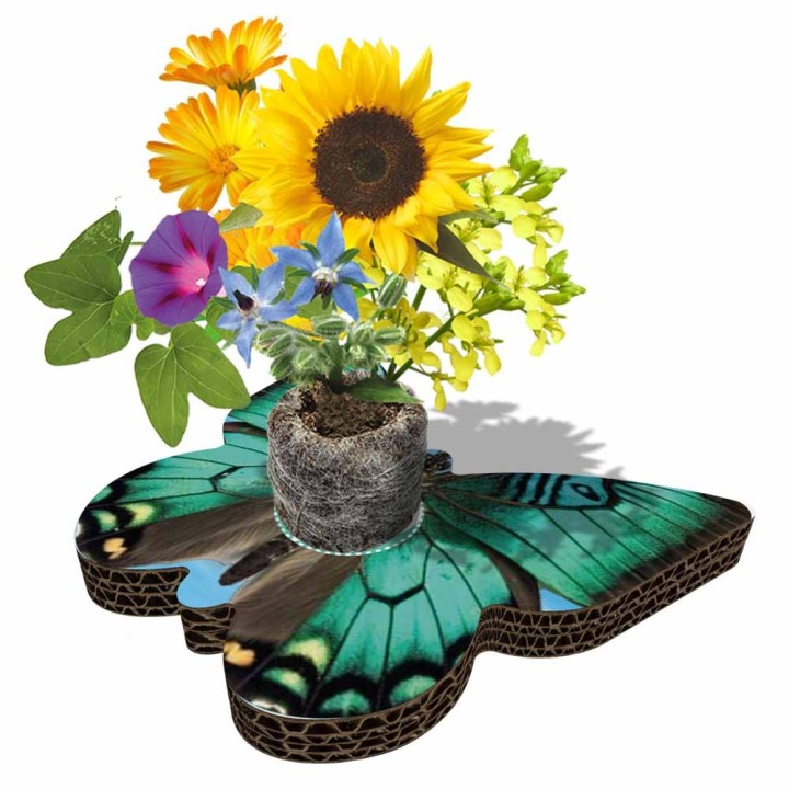Eco-Decors Farfalla Illustrata – Decorazione piantabile con semi di fiori per api e farfalle