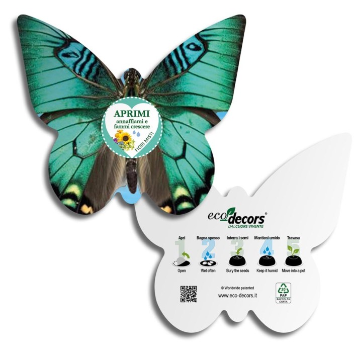 Eco-Decors Farfalla Illustrata – Decorazione piantabile con semi di fiori per api e farfalle