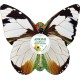 Eco-Decors Farfalla Illustrata – Decorazione piantabile con semi di fiori per api e farfalle