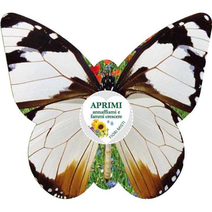Eco-Decors Farfalla Illustrata – Decorazione piantabile con semi di fiori per api e farfalle
