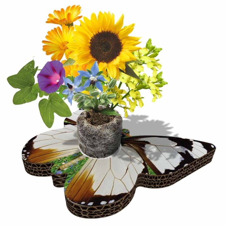 Eco-Decors Farfalla Illustrata – Decorazione piantabile con semi di fiori per api e farfalle