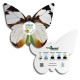 Eco-Decors Farfalla Illustrata – Decorazione piantabile con semi di fiori per api e farfalle