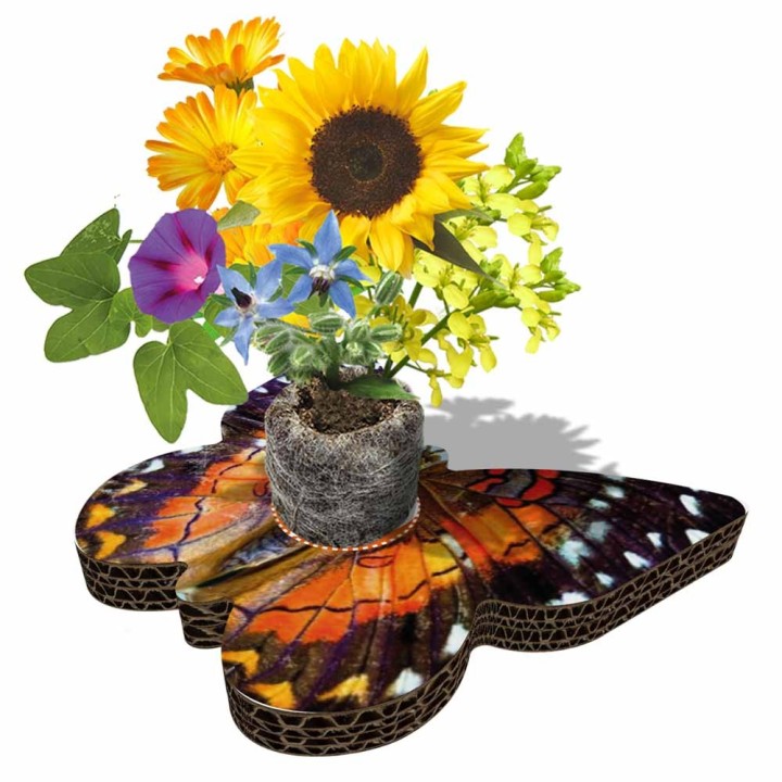 Eco-Decors Farfalla Illustrata – Decorazione piantabile con semi di fiori per api e farfalle