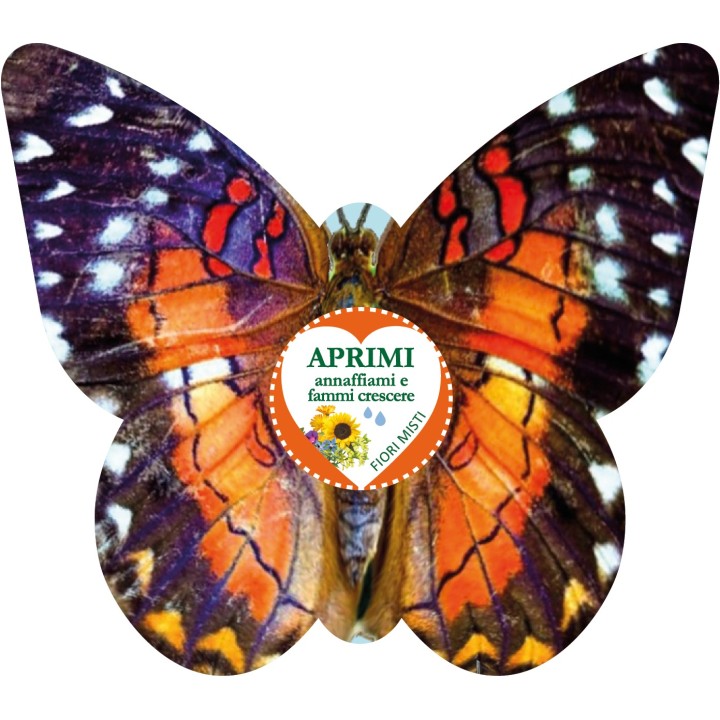 Eco-Decors Farfalla Illustrata – Decorazione piantabile con semi di fiori per api e farfalle